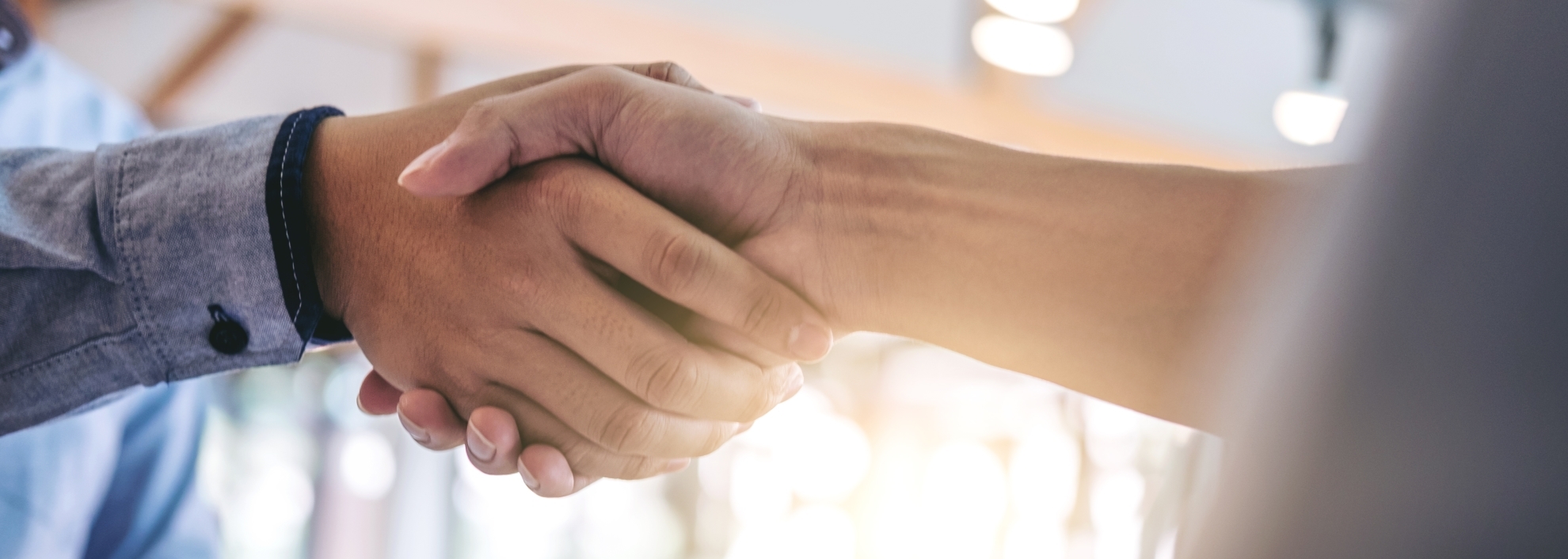 close-up handshake